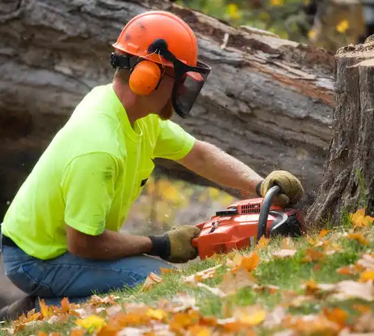 tree services Shakopee